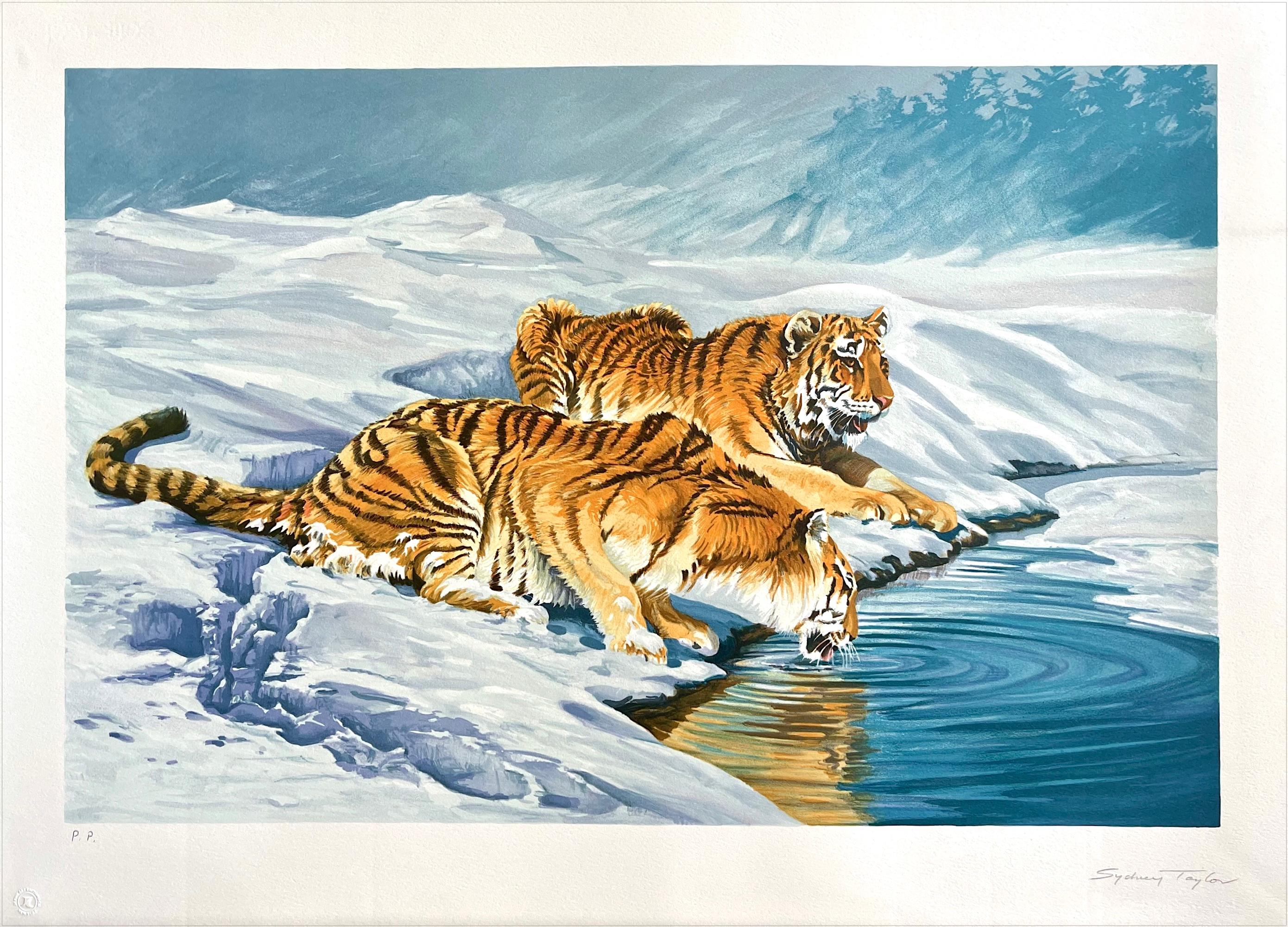 SIBERIAN TIGERS Signed Hand Drawn Lithograph Snow Landscape Big Cats Drinking