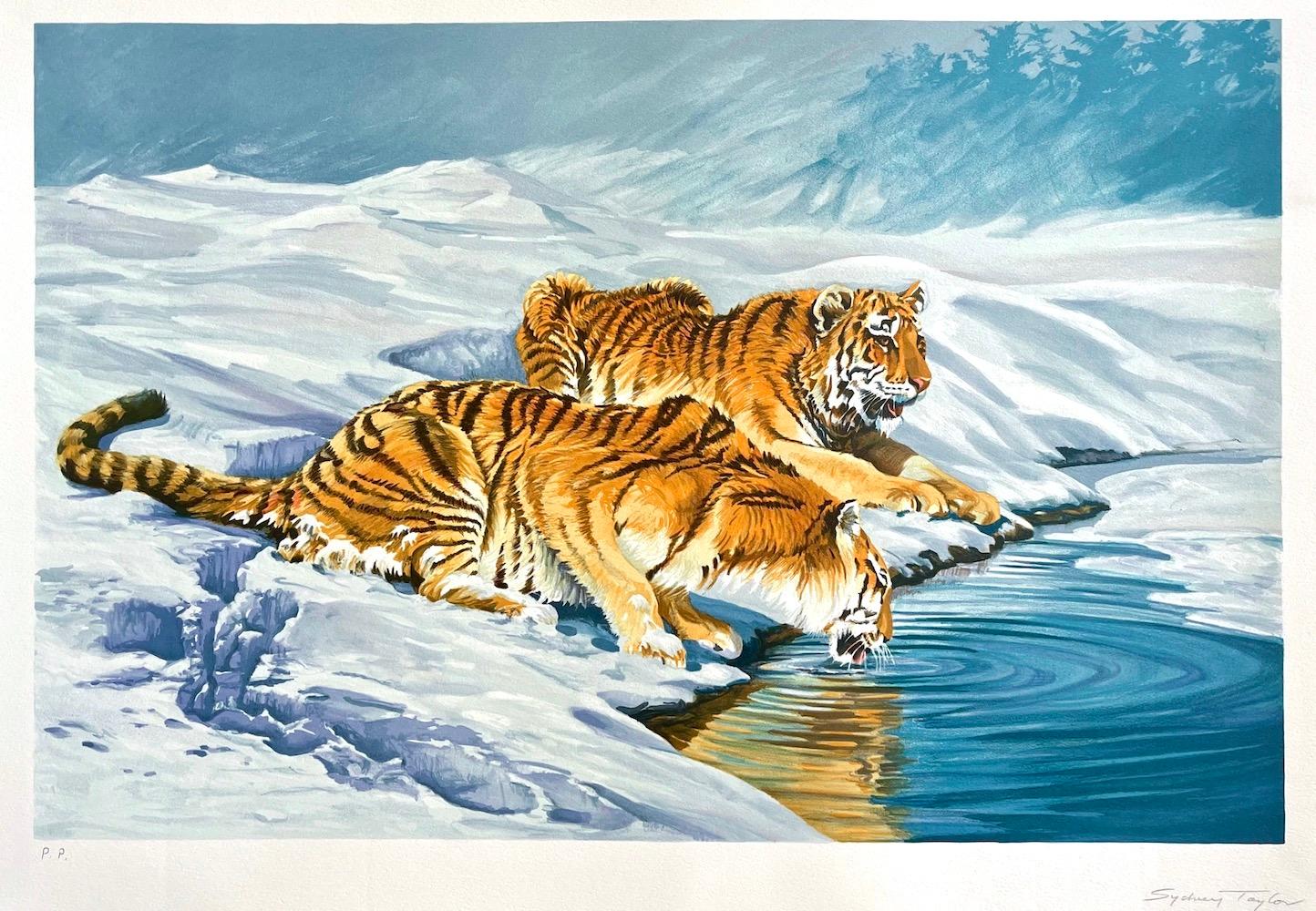 TIGRES SIBERIANOS Litografía firmada y dibujada a mano Paisaje nevado Grandes felinos Bebiendo - Print de Sydney Taylor