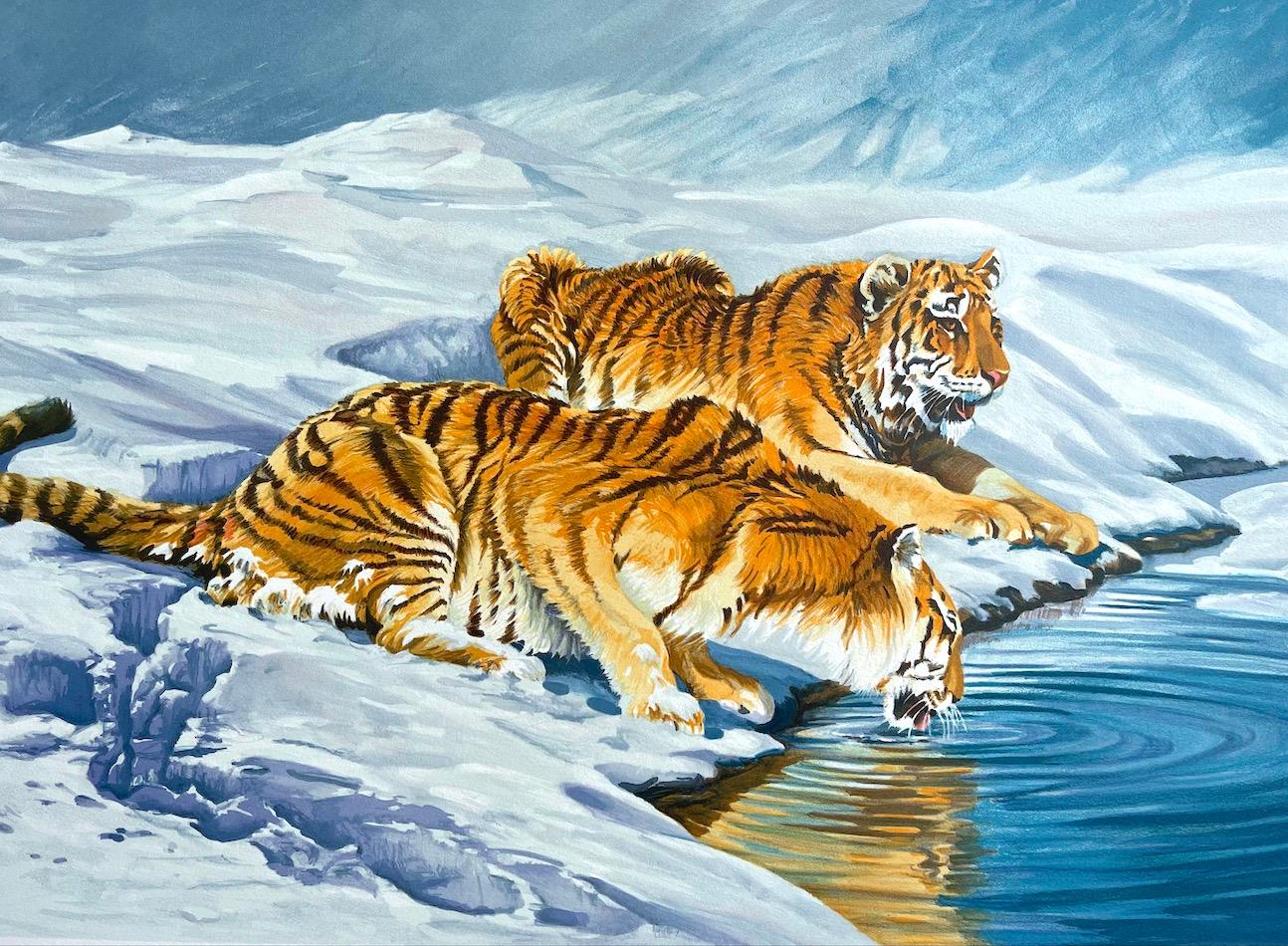 SIBERIAN TIGERS Signed Lithograph Tigers Drinking Snow Landscape Exotic Wildlife - Print by Sydney Taylor