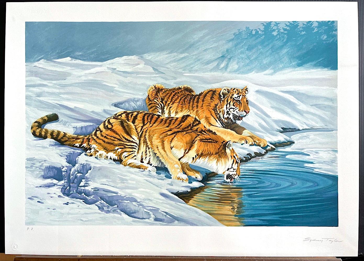TIGRES SIBERIANOS Litografía firmada y dibujada a mano Paisaje nevado Grandes felinos Bebiendo en venta 1