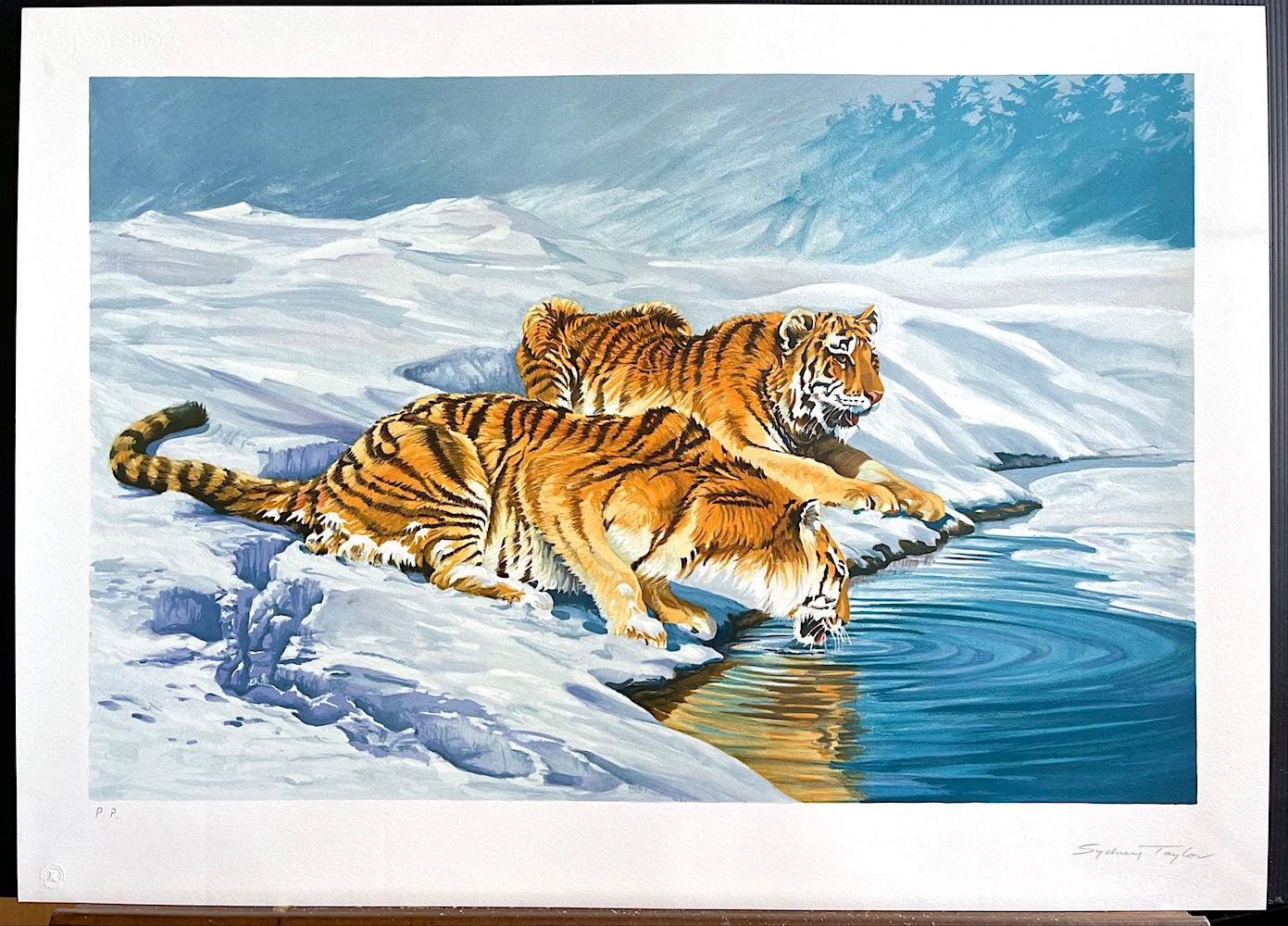 SIBERIAN TIGERS Signed Lithograph Tigers Drinking Snow Landscape Exotic Wildlife - Contemporary Print by Sydney Taylor