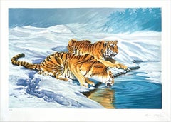 Lithographie signée SIBERIAN TIGERS, paysage de neige, tigres buvant de la faune exotique