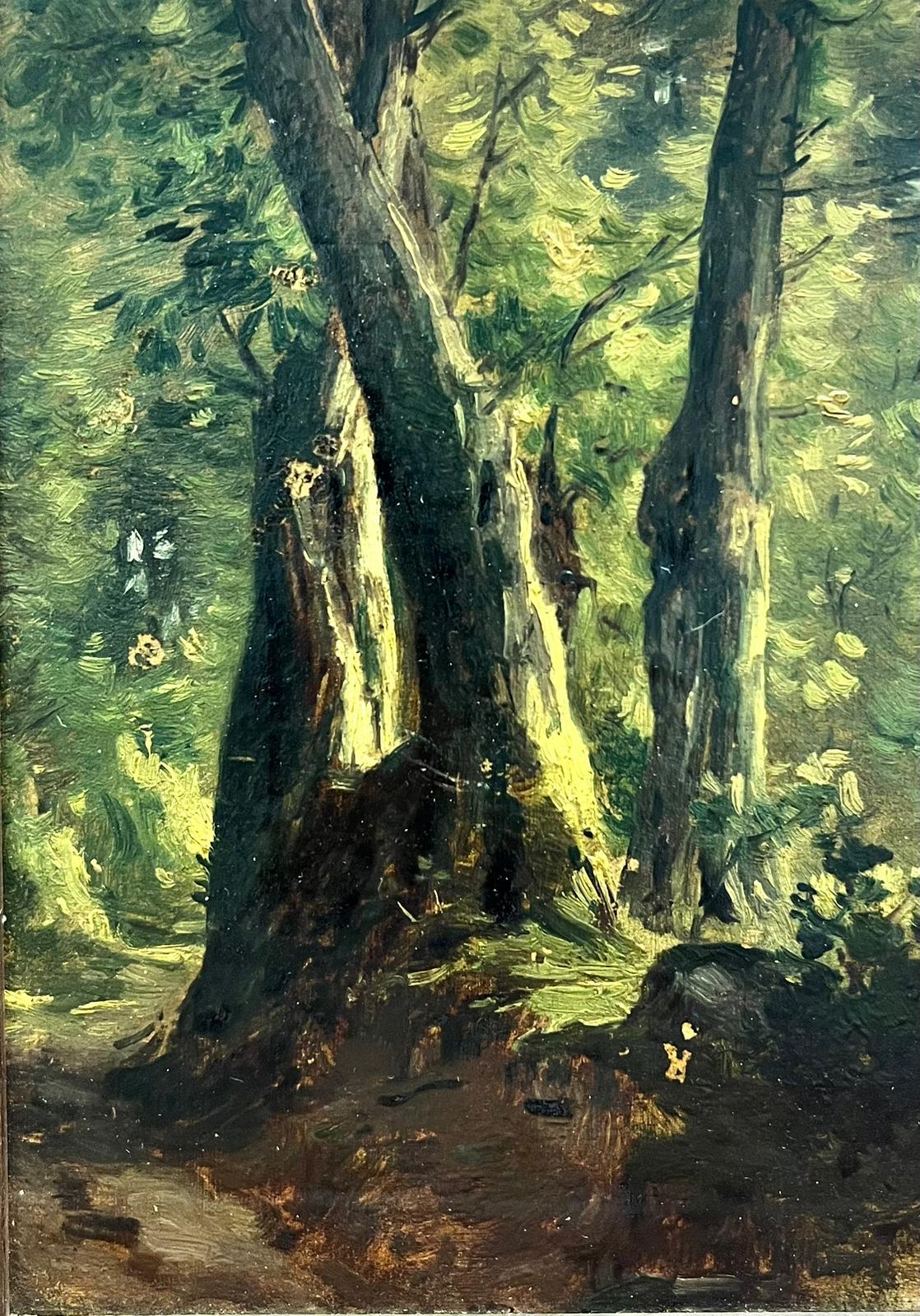 Sylvain Grateyrolle  Landscape Painting – Dappled Sunlight Woodland Path in Landscape Antique French Landscape Oil