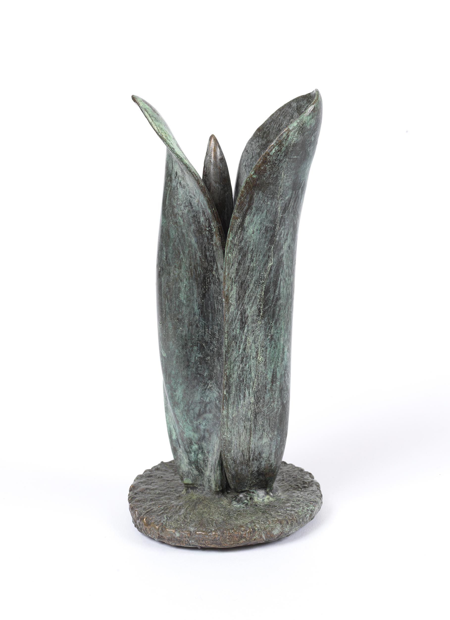 Tulip - bronze sculpture of emerging spring tulip - Sculpture by Sylvia Beckman