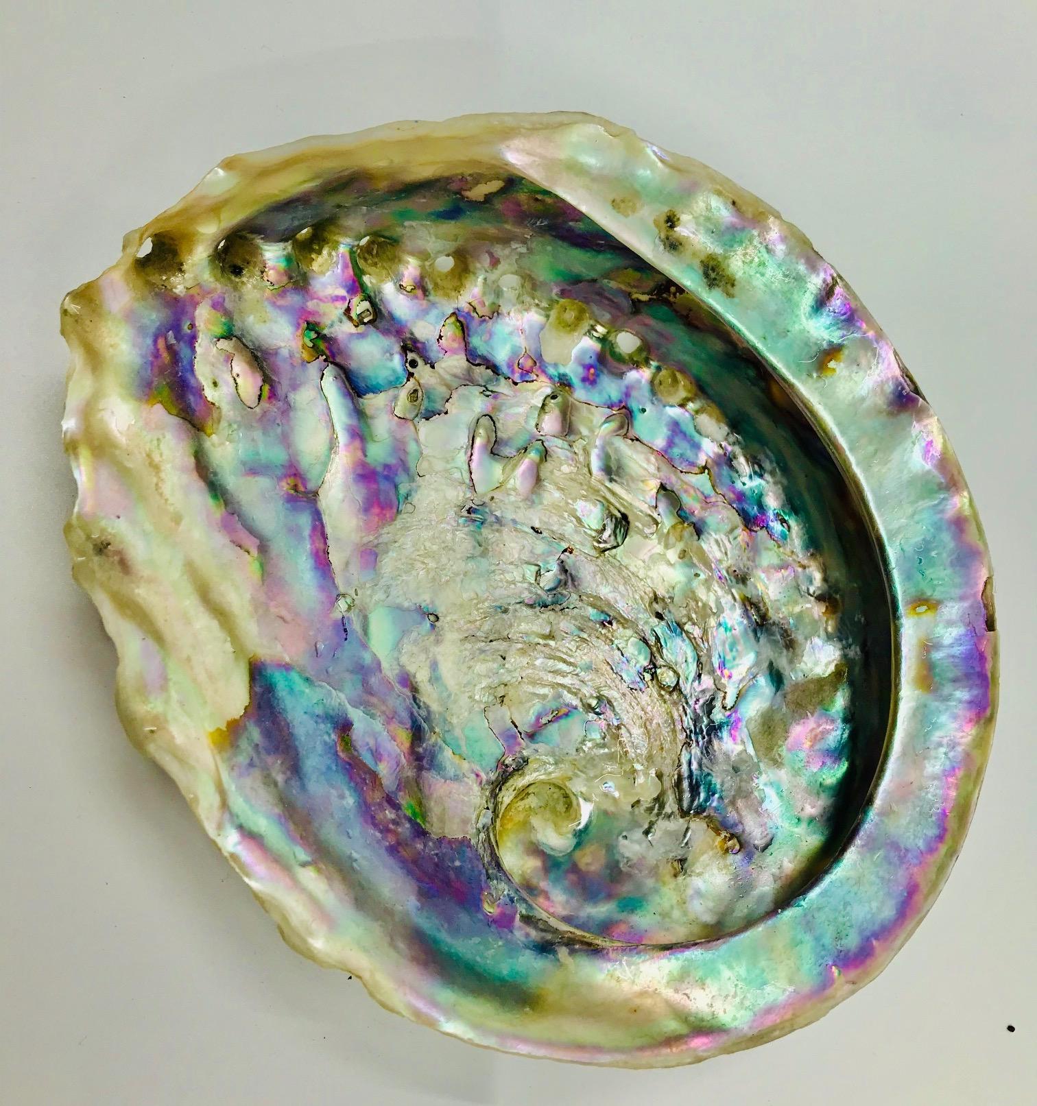 Sylvia Gottwald, Long Haliotis /Abalone and Glass beads Statement Necklace In New Condition For Sale In Washington DC, DC