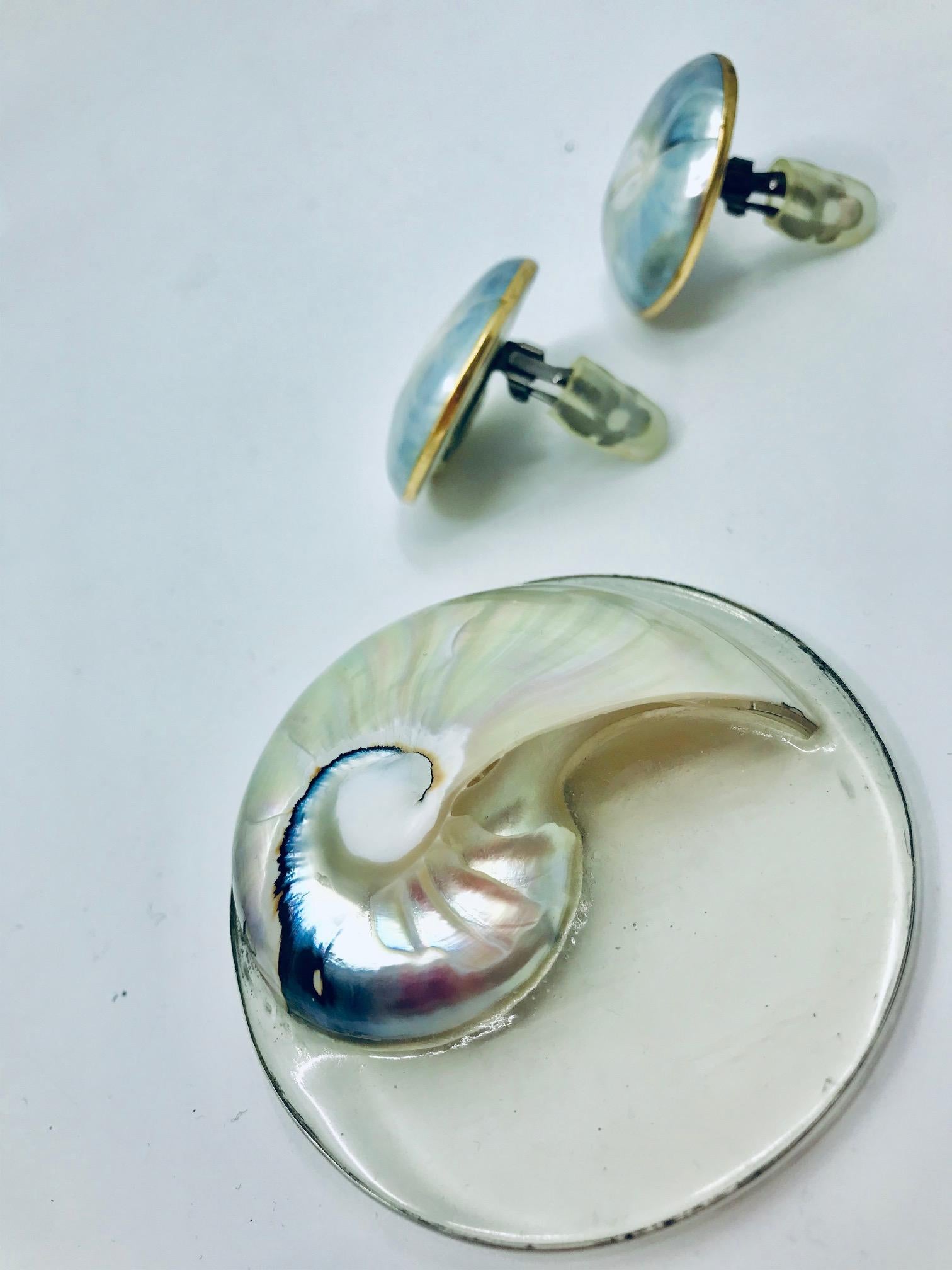  Nautilus Brooch on resin and Earrings. The brooch is made from natural Nautilus shell fuzed with clear Resin and framed in Silver, with magnetic clasp on the back. This set is unique one of a kind and handmade. S.Gottwald creations are fashionable