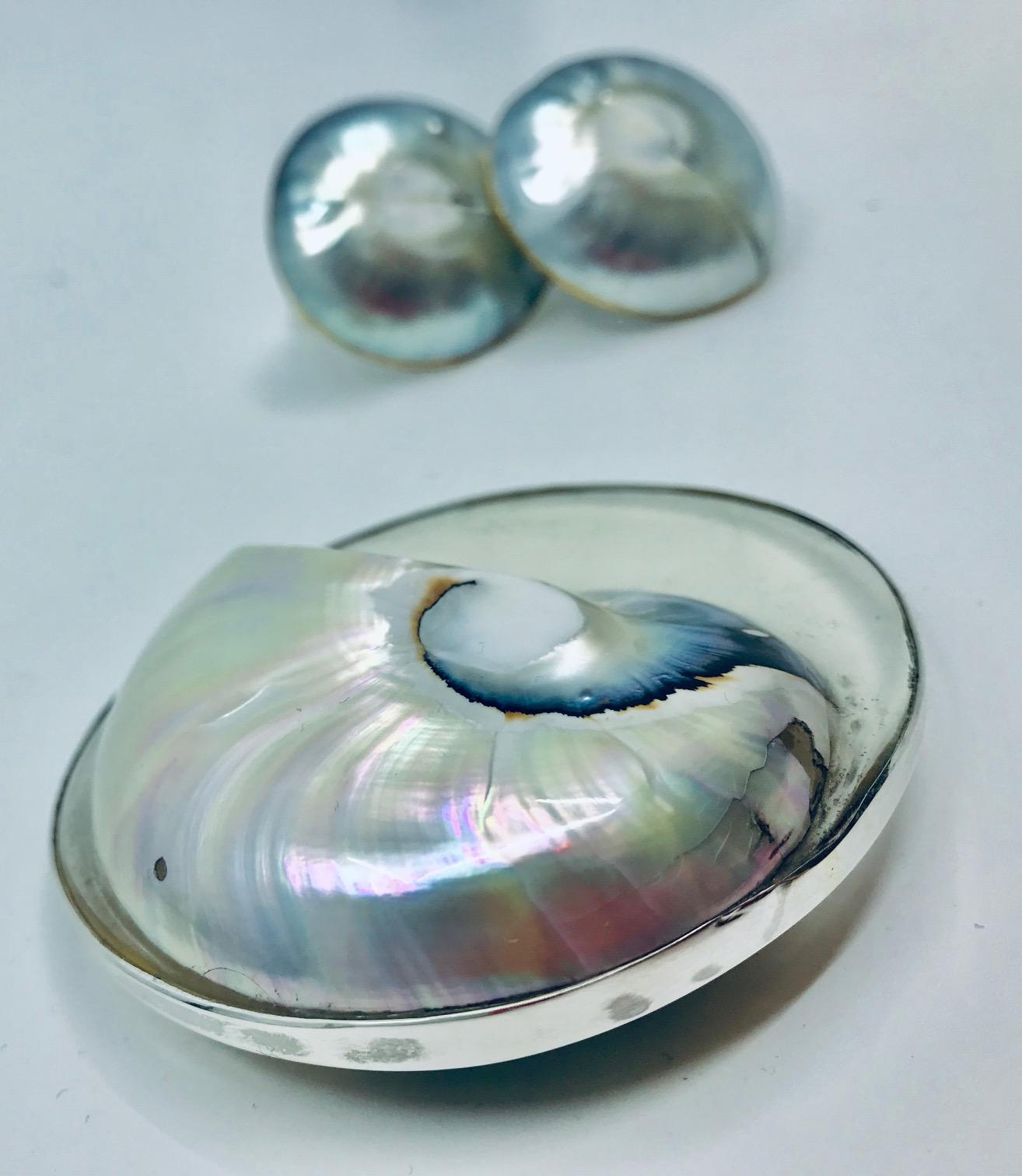 Contemporary Sylvia Gottwald, Nautilus Brooch and Earrings.