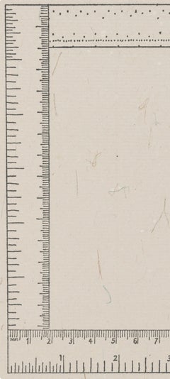 Six Inches Four Ways, Rubber Stamp Portfolio, Sylvia Plimack Mangold