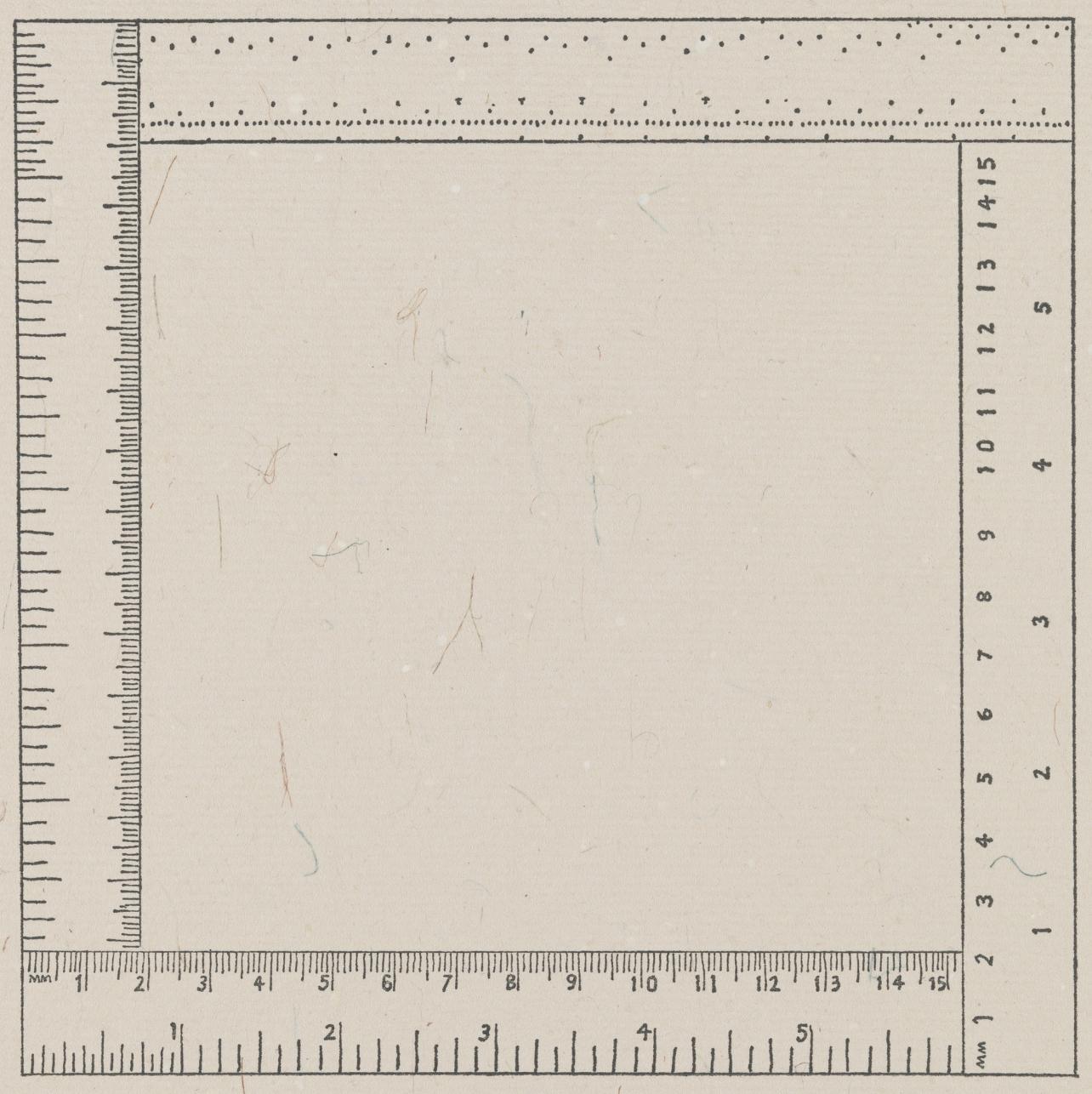 Six Inches Four Ways, Portfolio dei timbri di gomma, Sylvia Plimack Mangold