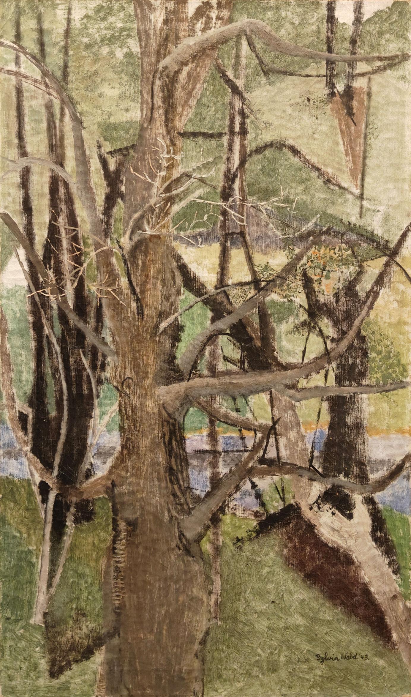 Sylvia Wald
Stagione del bastone, 1948
Firmato e datato in basso a destra
Olio su tela
40 x 25 pollici


Nata a Filadelfia, Sylvia Wald ha studiato alla Philadelphia School of Design for Women (oggi Moore College of Art & Design) e in seguito si è