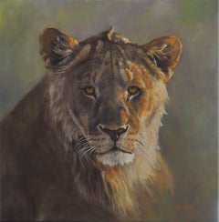 Young Lion Oil on canvas by Sylvie AJACQUES