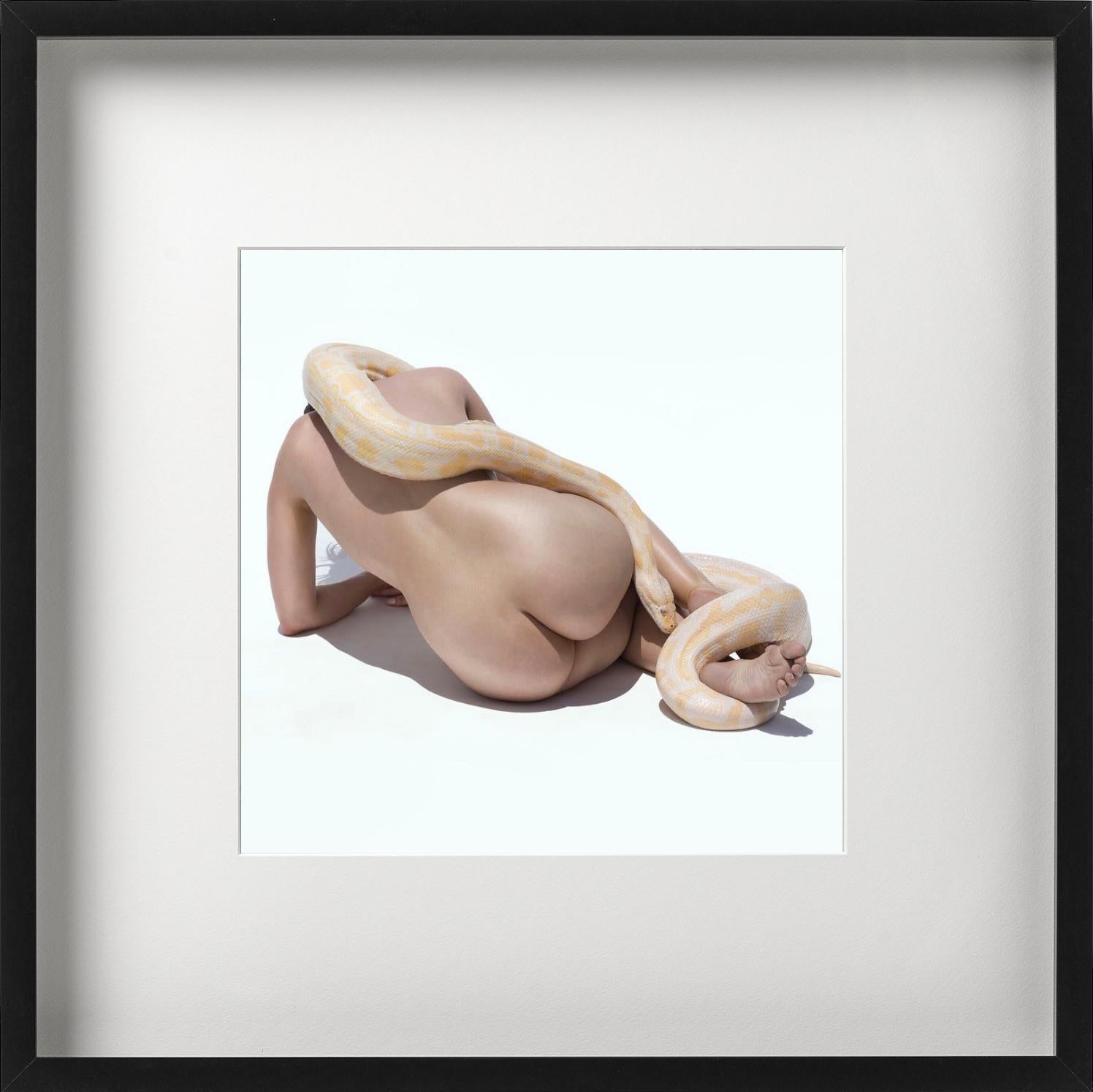 Giant Albino Python - Nude with Animal, Fine Art Photography, 2017 For Sale 3