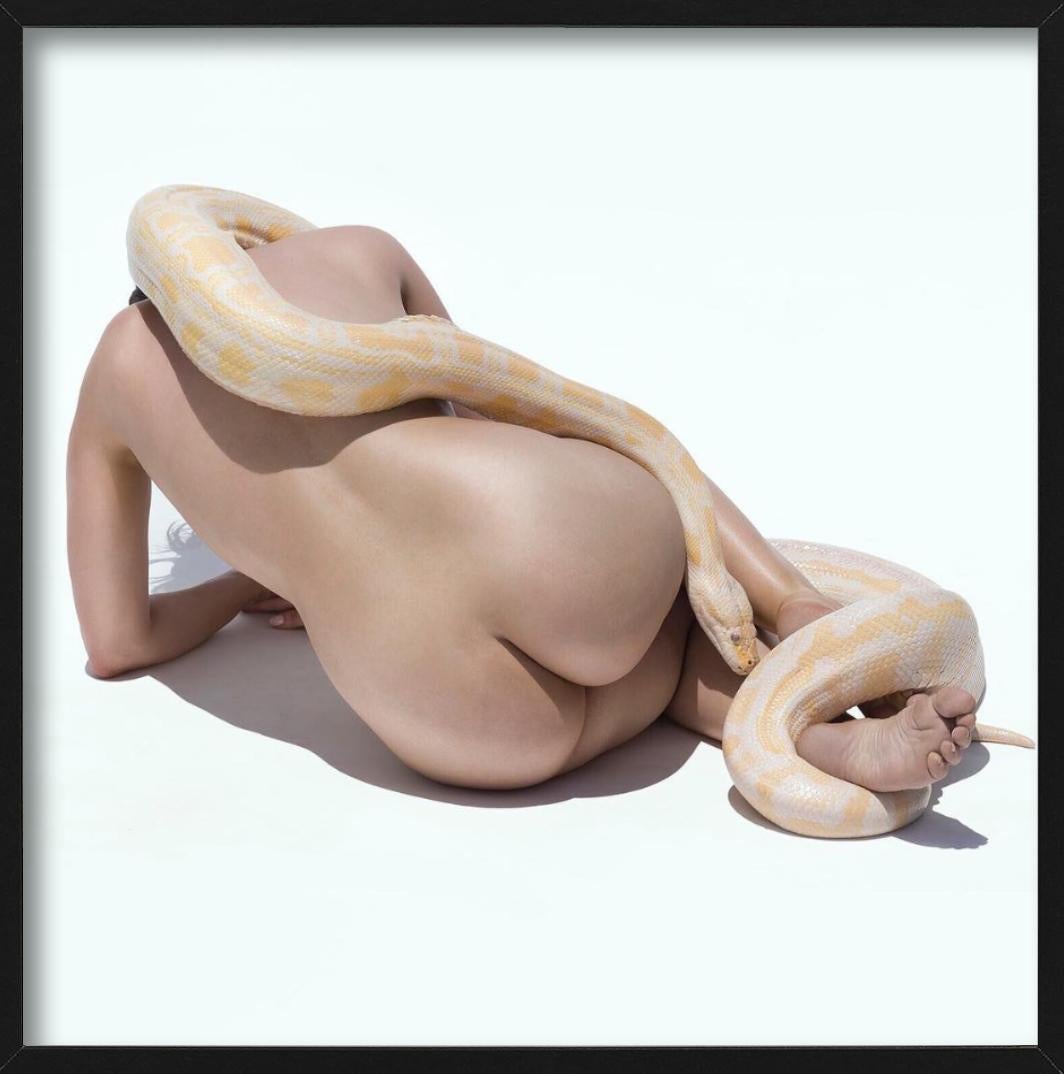 Giant Albino Python - Nude with Animal, Fine Art Photography, 2017 For Sale 4