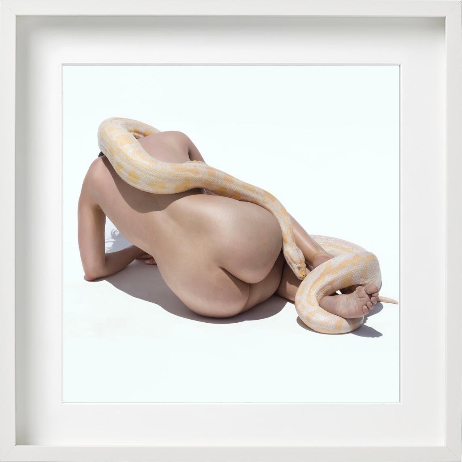 Giant Albino Python - Nude with Animal, Fine Art Photography, 2017 For Sale 6