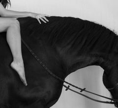 Horses #15421 -  close-up of Nude Model sitting on a Horse, Fine Art Photography