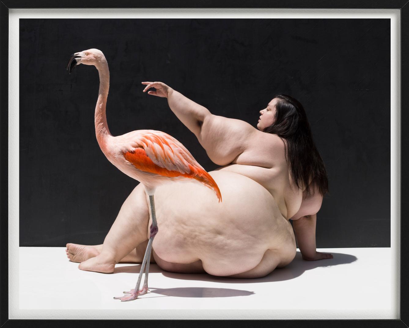 The Birds - Nude with Flamingo, Fine Art Photography For Sale 7