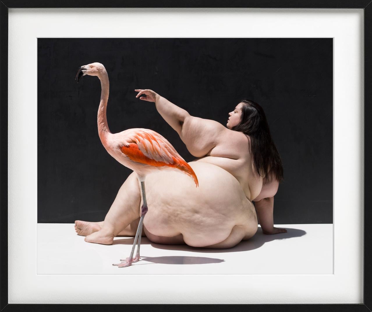 The Birds - Nude with Flamingo, Fine Art Photography For Sale 8