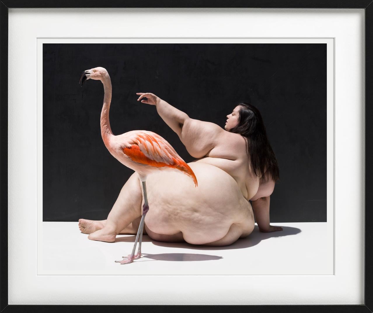 The Birds - Nude with Flamingo, Fine Art Photography For Sale 9