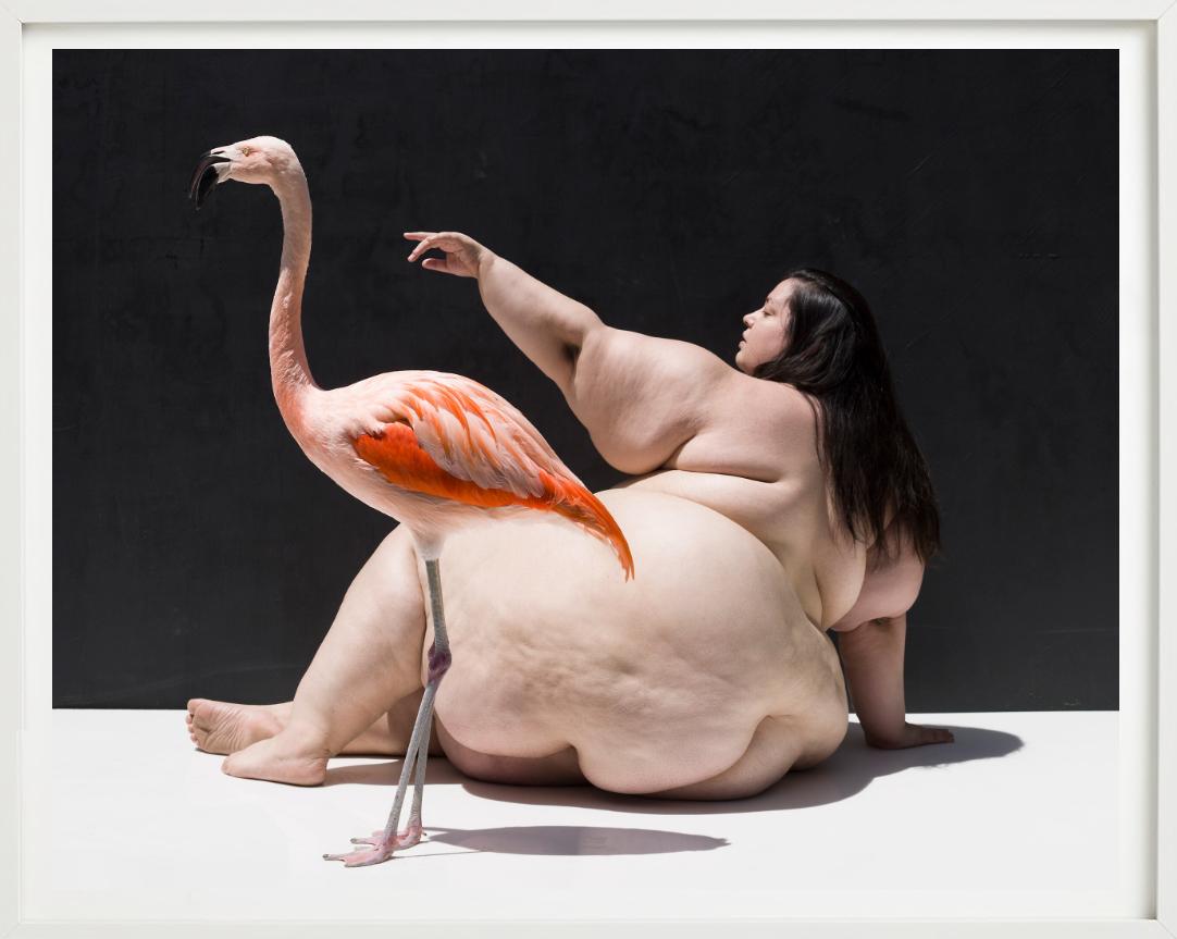 A Woman holding a flamingo, photographed by Sylvie Blum.

All prints are limited edition. Available in multiple sizes. High-end framing on request.

All prints are done and signed by the artist. The collector receives an additional certificate of