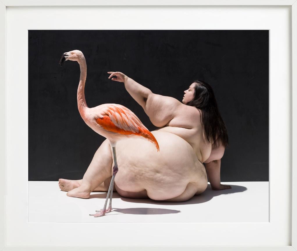 The Birds - Nude with Flamingo, Fine Art Photography For Sale 1
