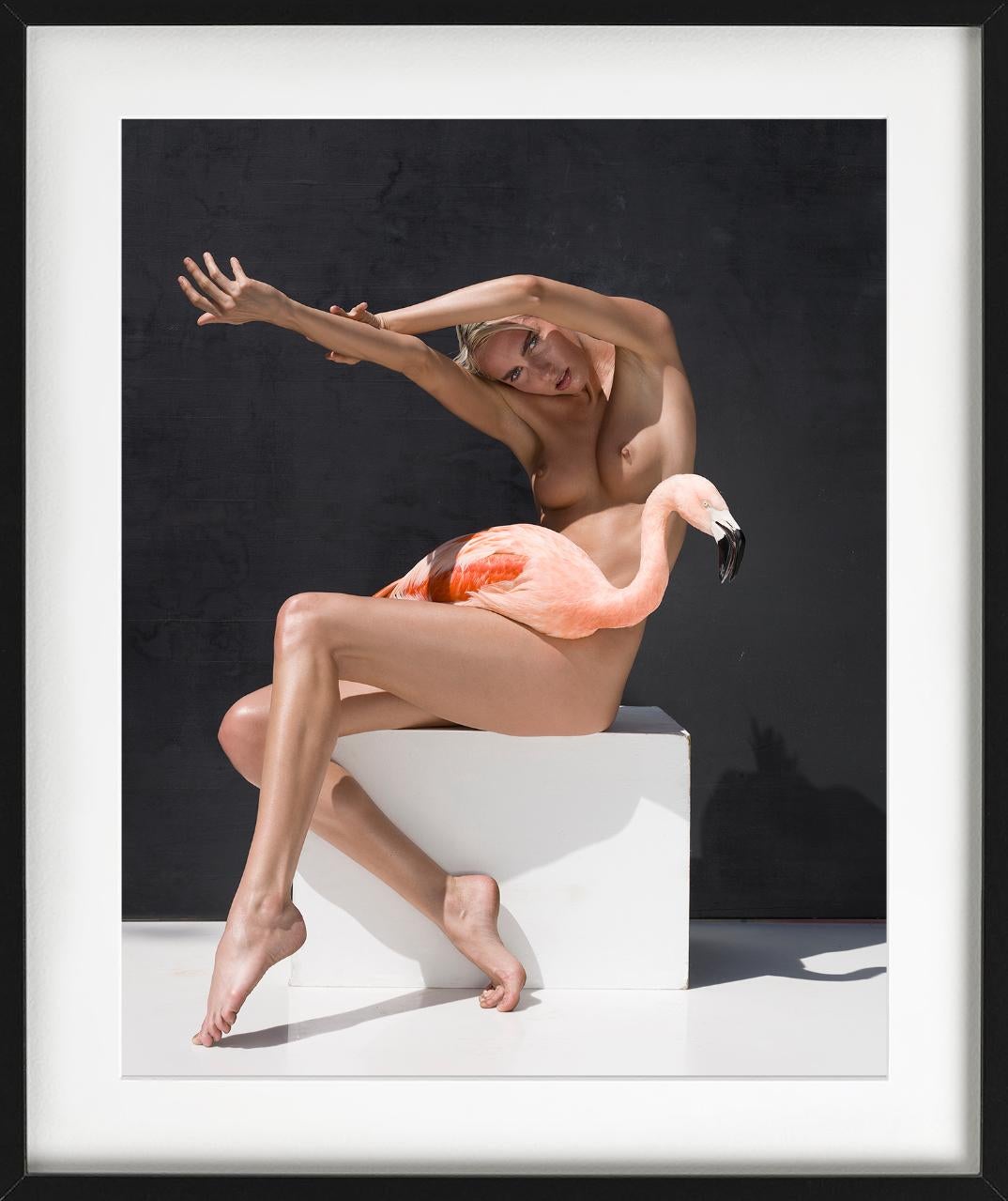 The Birds - Nude with Flamingo, Fine Art Photography For Sale 2