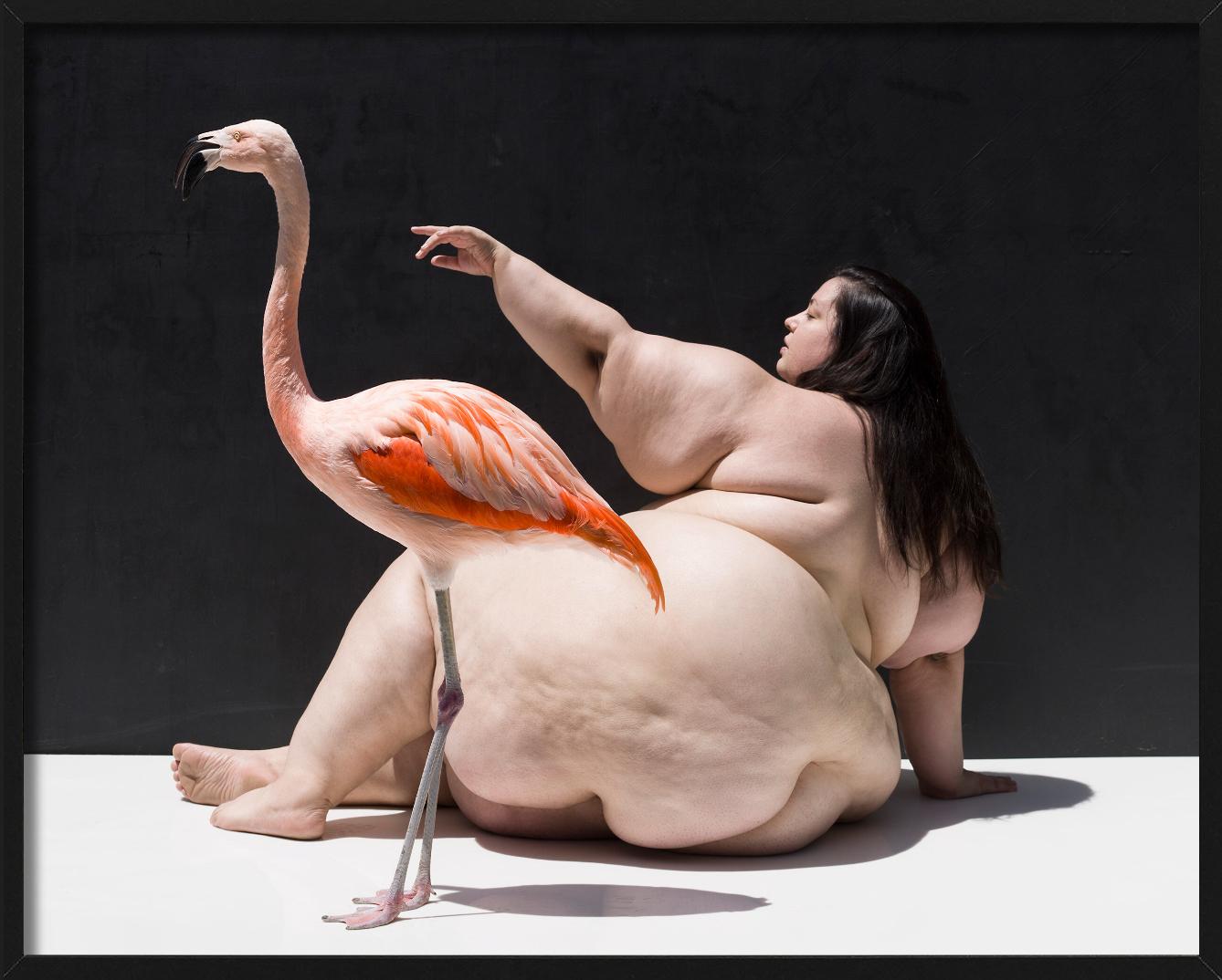 The Birds - Nude with Flamingo, Fine Art Photography For Sale 2