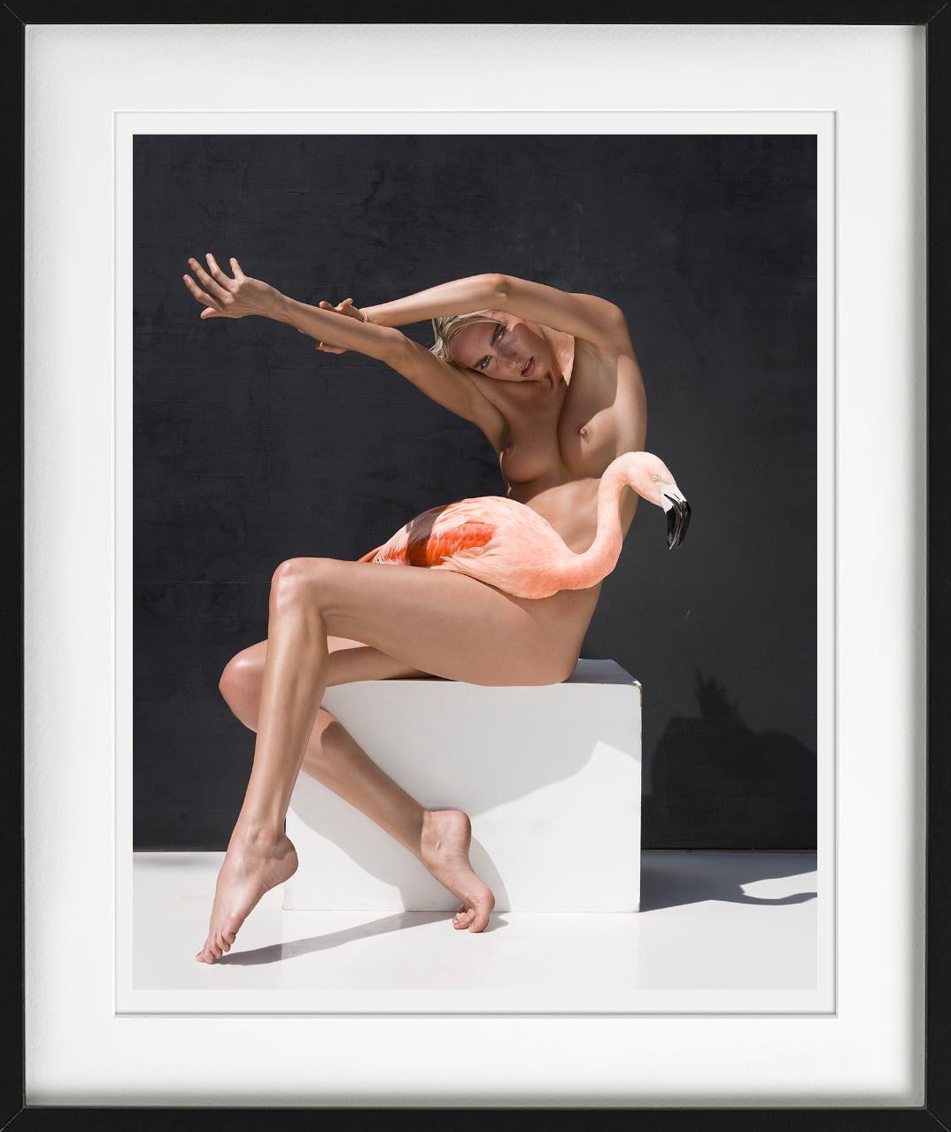 The Birds - Nude with Flamingo, Fine Art Photography For Sale 3