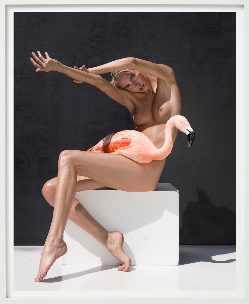 The Birds - Nude with Flamingo, Fine Art Photography For Sale 5