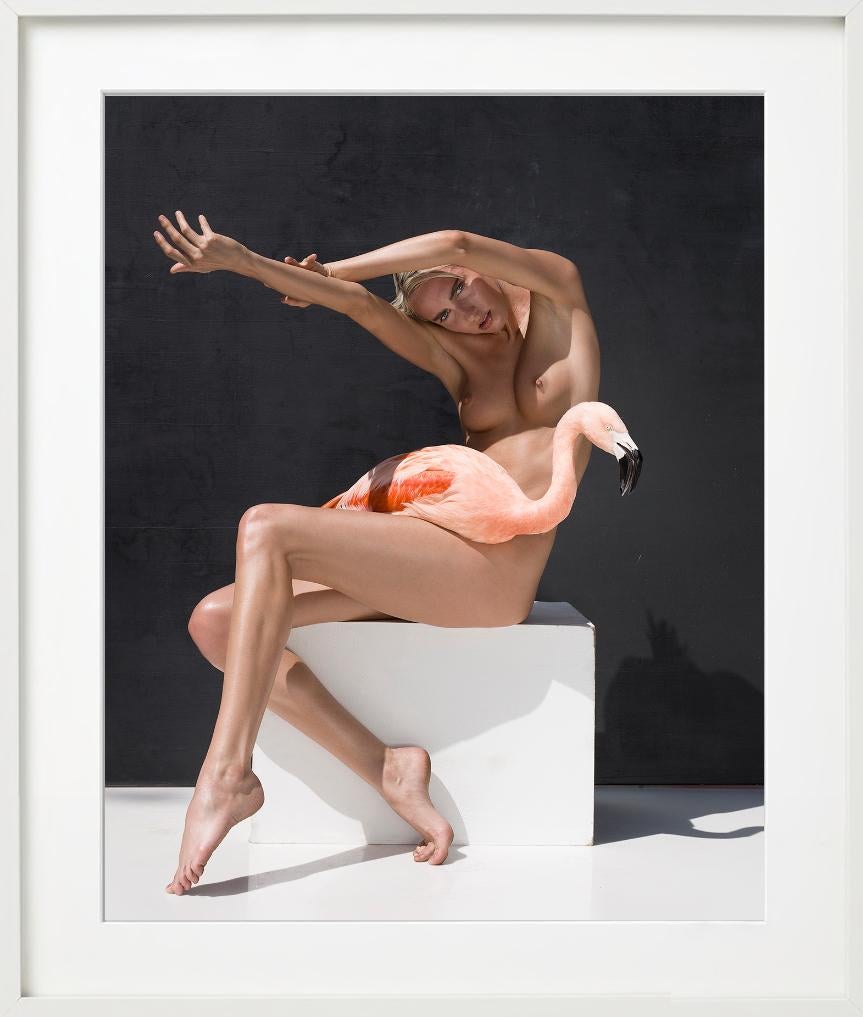 The Birds - Nude with Flamingo, Fine Art Photography For Sale 6