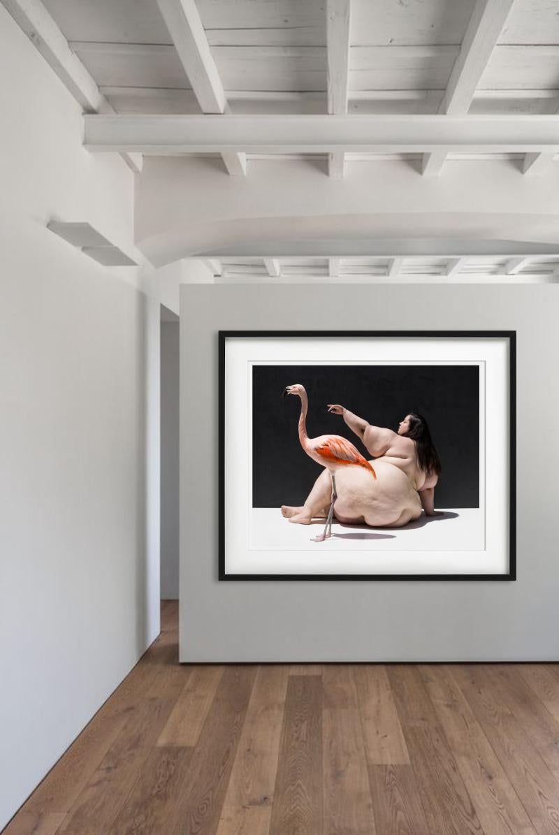 The Birds - Nude with Flamingo, Fine Art Photography For Sale 6