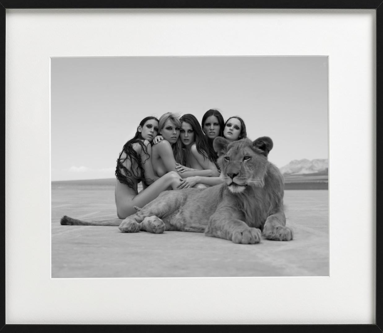 The lion king- group portrait of nude models, posing with a lion in the desert - Photograph by Sylvie Blum