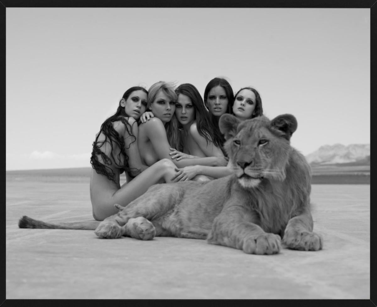 Lion King - Nude Group Portrait with Lion, Fine Art Photography, 2008 For Sale 2