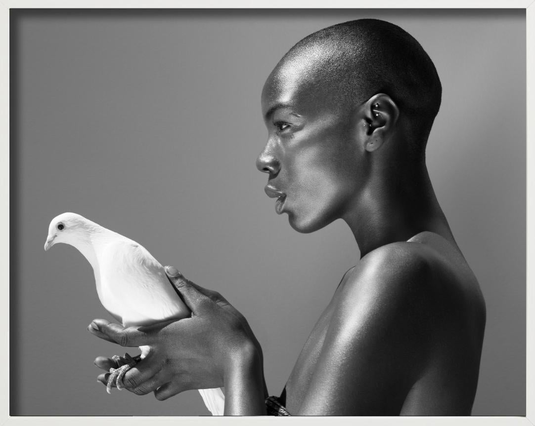 Il piccione - Nudo in bianco e nero con animale, Fotografia Fine Art, 2017 - Photograph di Sylvie Blum