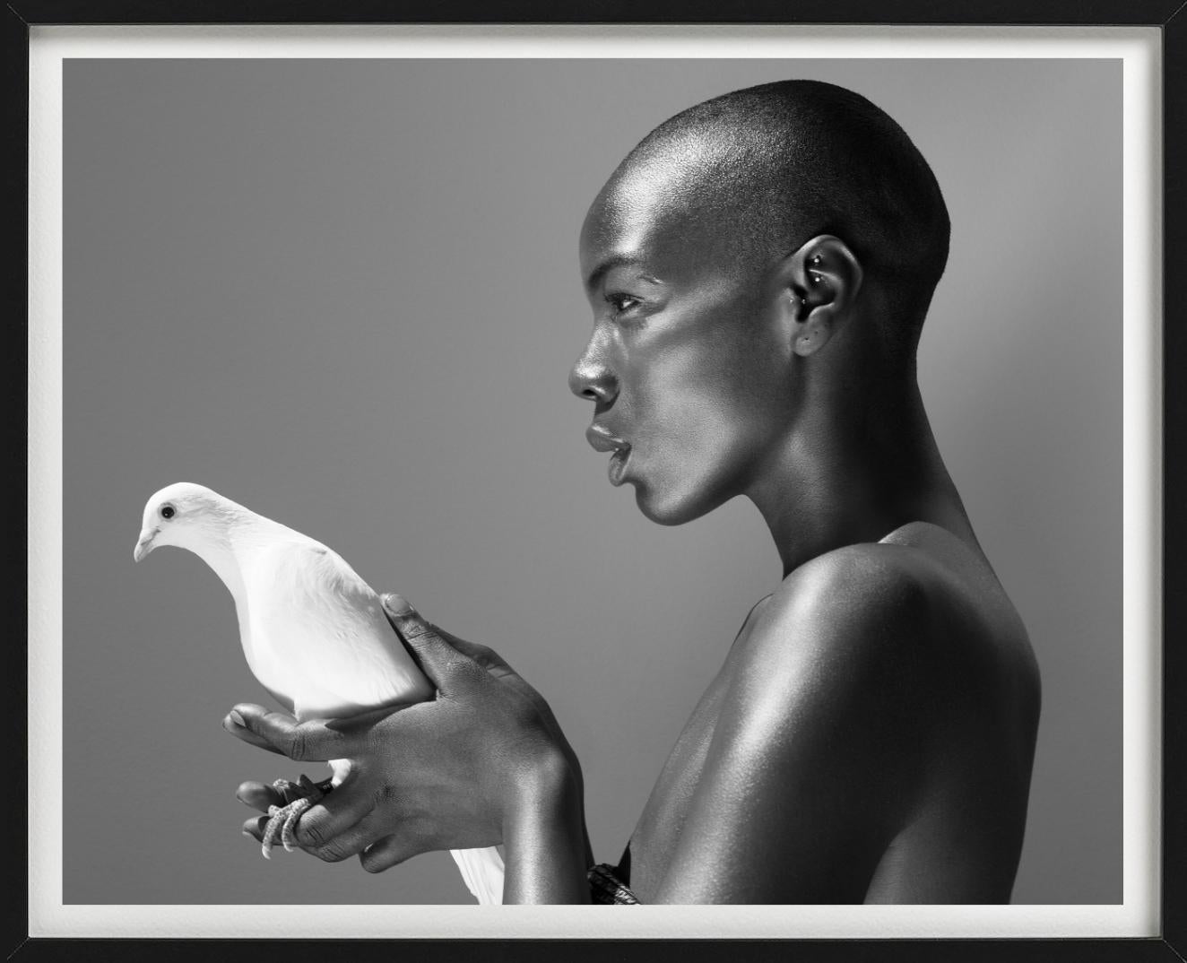 Il piccione - Nudo in bianco e nero con animale, Fotografia Fine Art, 2017 - Nude Photograph Grigio di Sylvie Blum