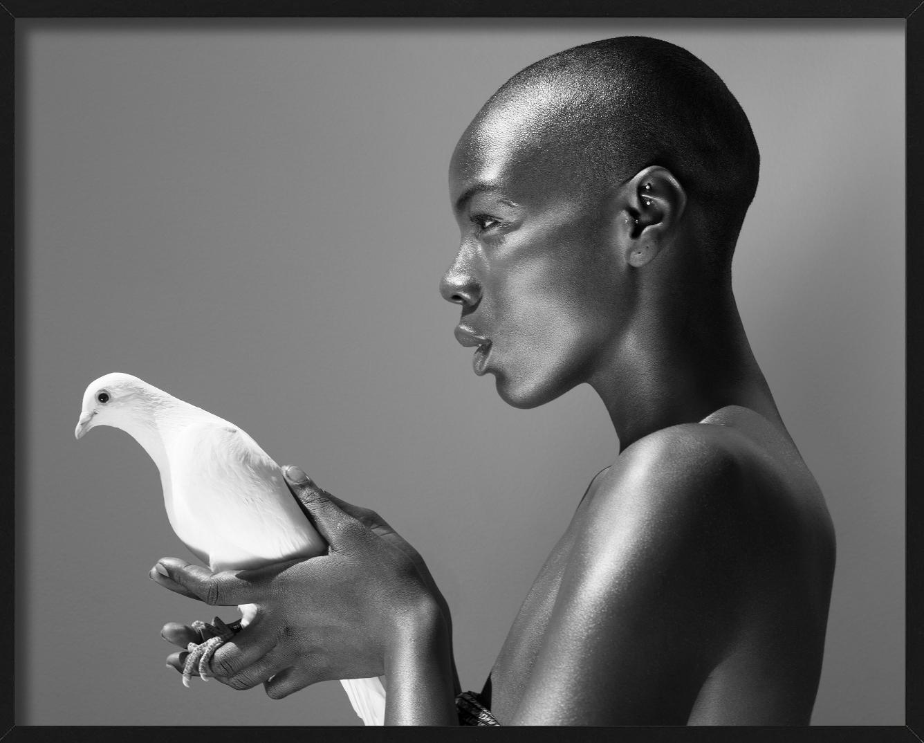 Il piccione - Nudo in bianco e nero con animale, Fotografia Fine Art, 2017 in vendita 2