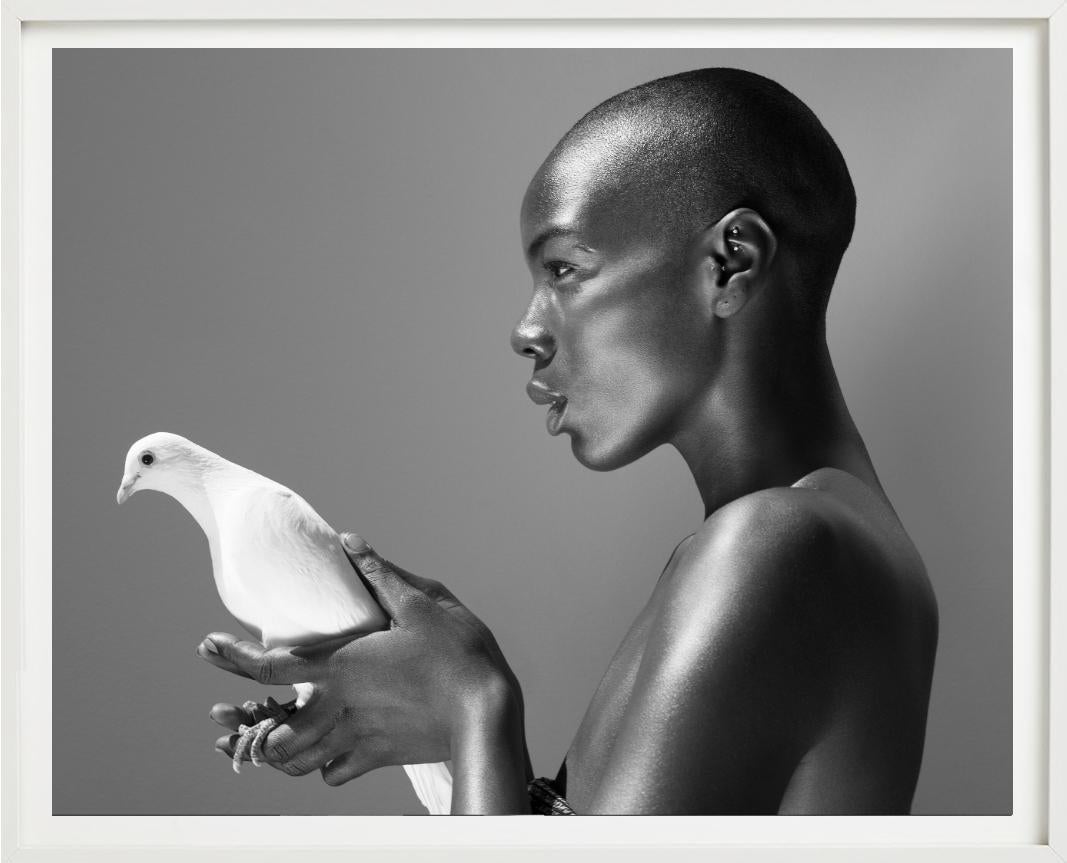 Il piccione - Nudo in bianco e nero con animale, Fotografia Fine Art, 2017 in vendita 3