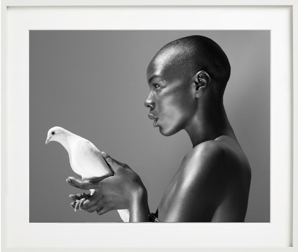 Il piccione - Nudo in bianco e nero con animale, Fotografia Fine Art, 2017 in vendita 4