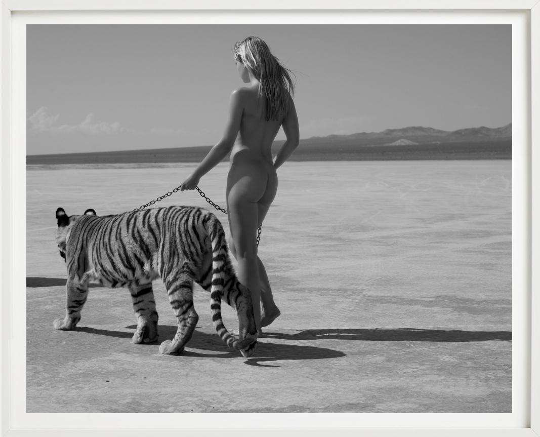 Tigress, Fine Art Photography, 2008 For Sale 5