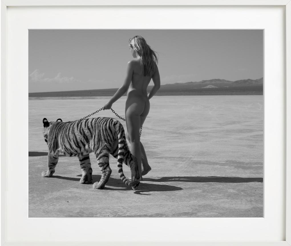 Tigress, Fine Art Photography, 2008 For Sale 6