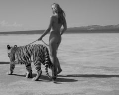 Tigress, Fine Art Photography, 2008