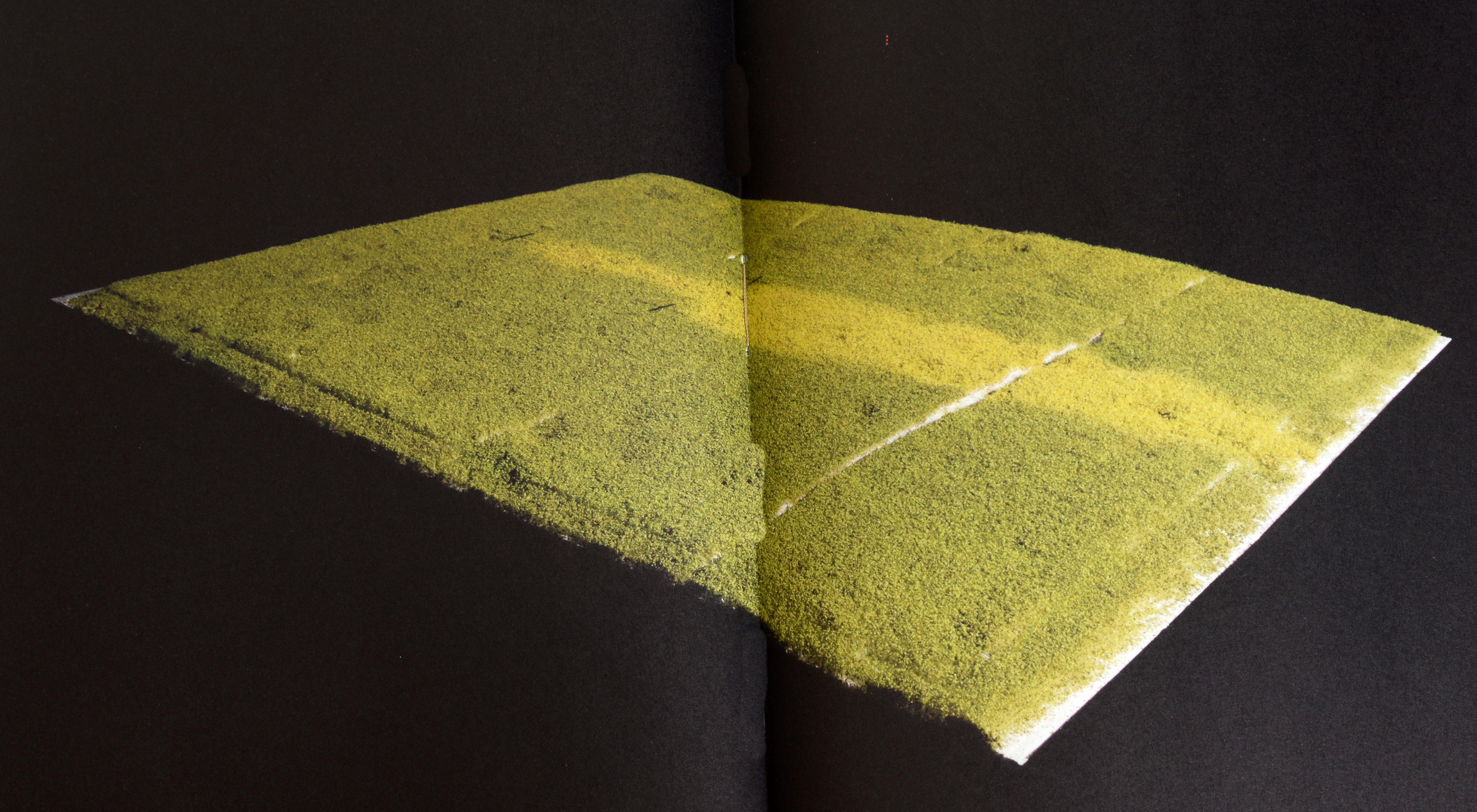 Symbionts: Contemporary Artists and the Biosphere by Caroline Jones 1st For Sale 13