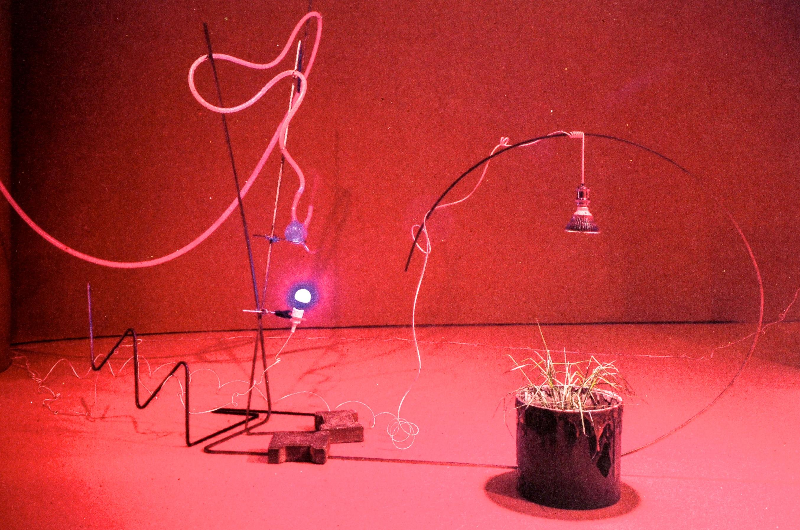 Symbionts: Contemporary Artists and the Biosphere by Caroline Jones 1st For Sale 14