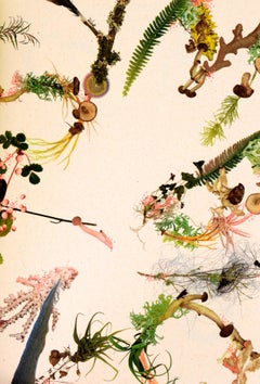 Symbionts: Contemporary Artists and the Biosphere by Caroline Jones 1st