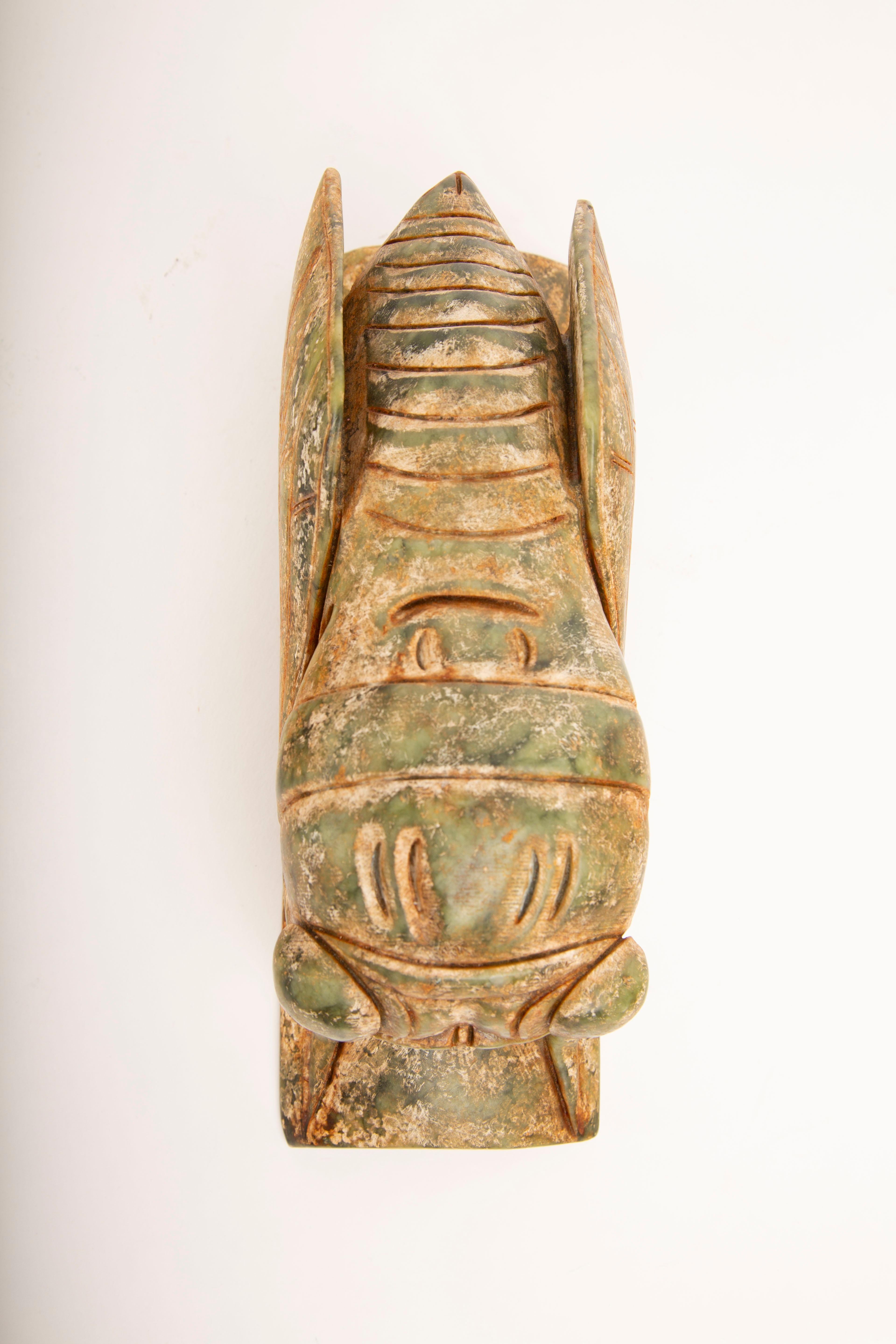 Symbol der Wiedergeburt: Geschnitzter Jade Cicada Talisman (20. Jahrhundert) im Angebot