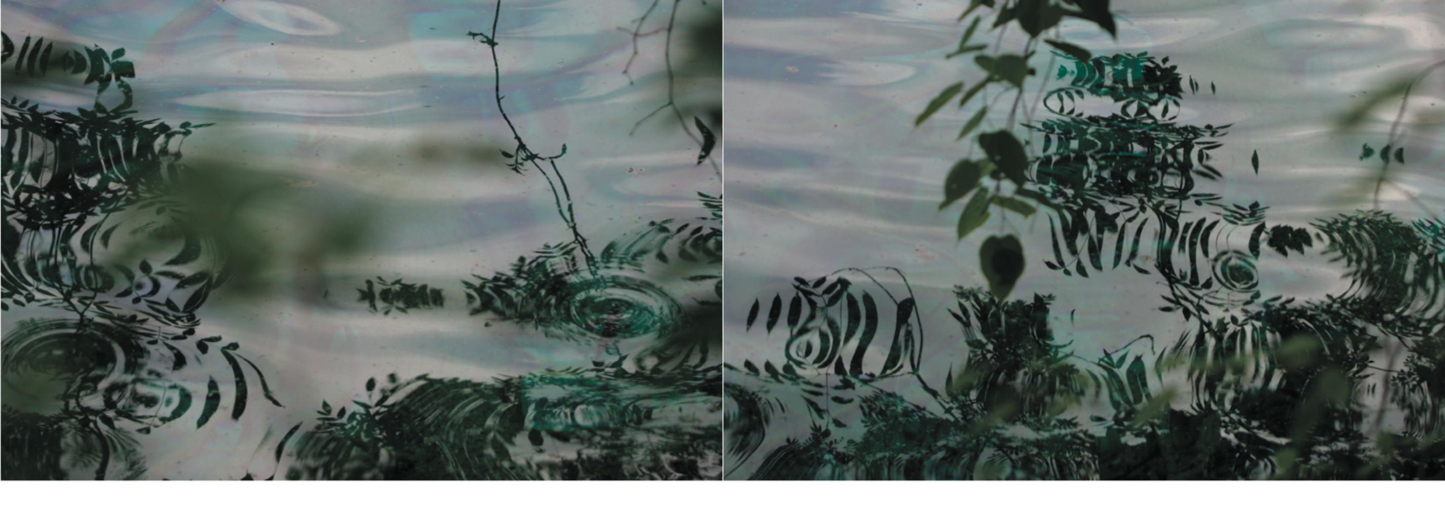 Syoin KAJII (*1976, Japon)
KAWA 051-052, 2010
Impression Lambda avec visage Diasec, Diptyque
56 x 168 cm (22 x 66 1/8 in.)
Edition de 6 ; Ed. no. 1/6


À propos de KAWA : 
Le moine bouddhiste Kajii s'est fait connaître avec l'œuvre primée NAMI -