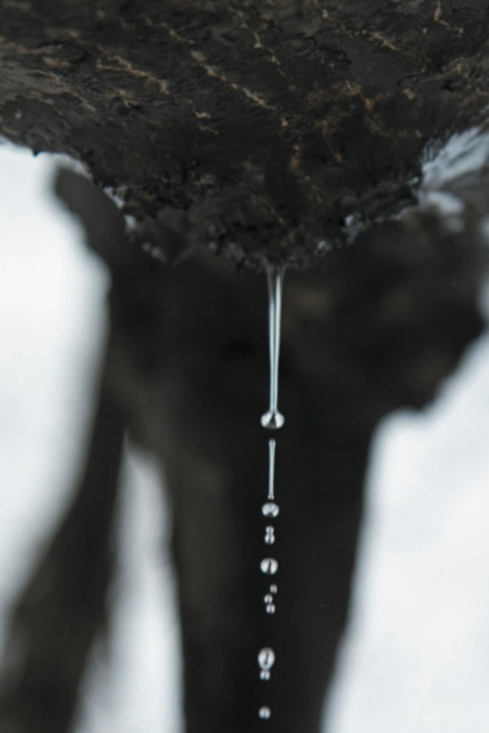 KAWA_021-022 - Syoin Kajii, Japanische Fotografie, Abstrakt, Natur, Wasser, Kunst im Angebot 2