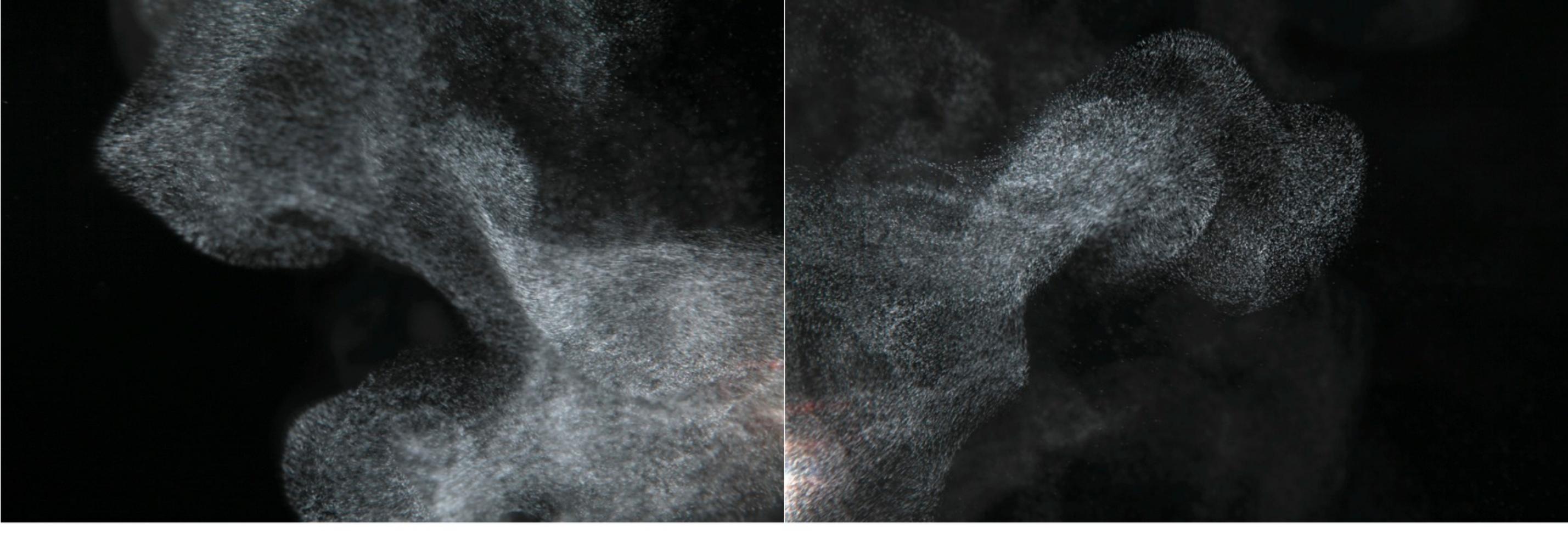 Syoin KAJII (*1976, Japon)
KAWA_087-088, 2010
Impression Lambda avec visage Diasec, Diptyque
56 x 168 cm (22 x 66 1/8 in.)
Edition de 6 ; Ed. no. 2/6


À propos de KAWA : 
Le moine bouddhiste Kajii s'est fait connaître avec l'œuvre primée NAMI -