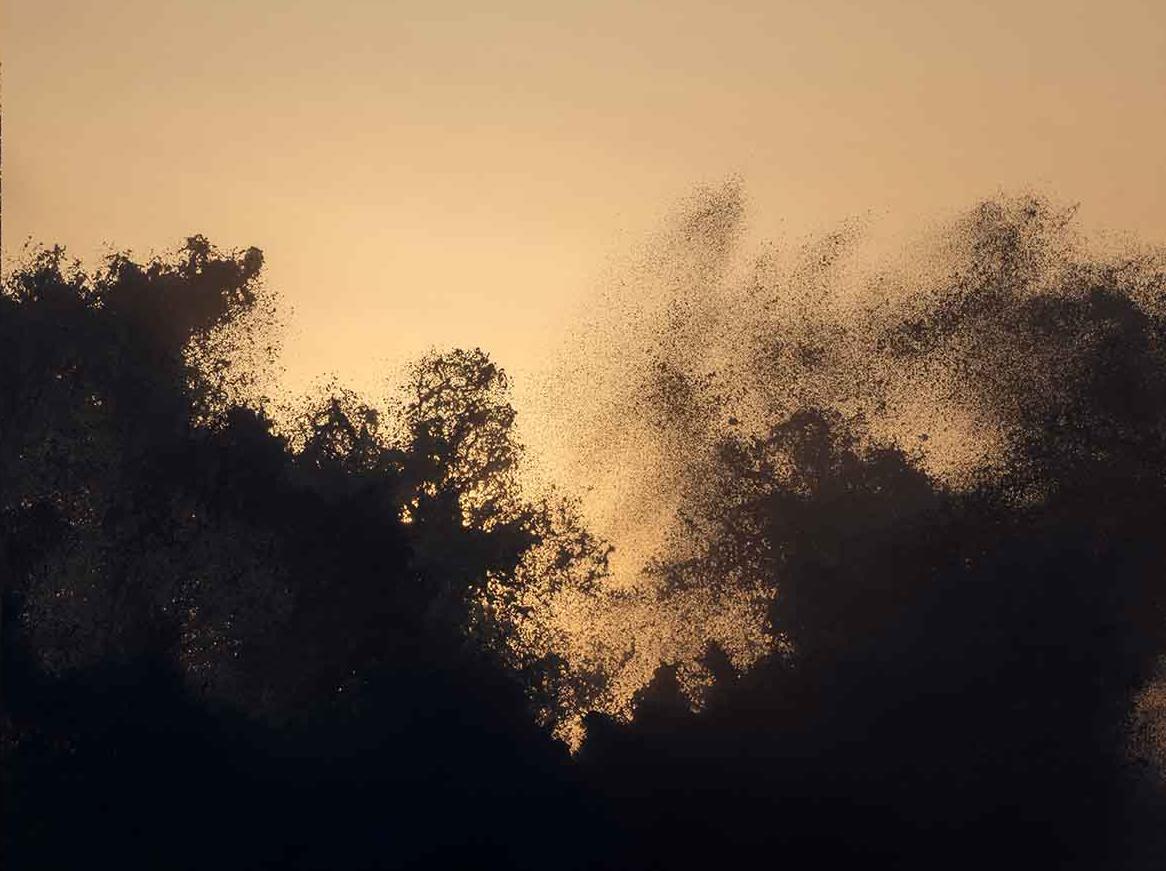 NAMI_V01-V02 - Contemporary Photograph by Syoin Kajii