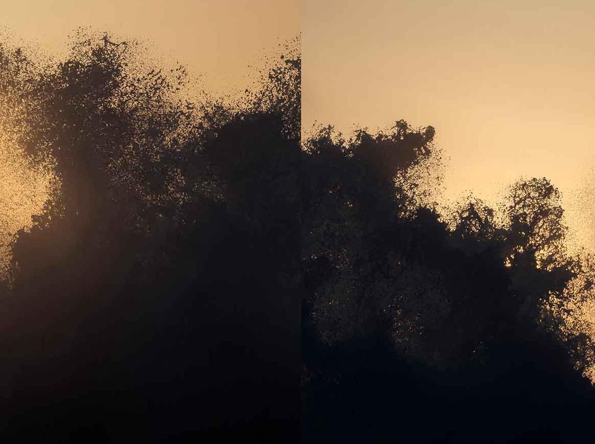 NAMI_V01-V02 - Black Landscape Photograph by Syoin Kajii