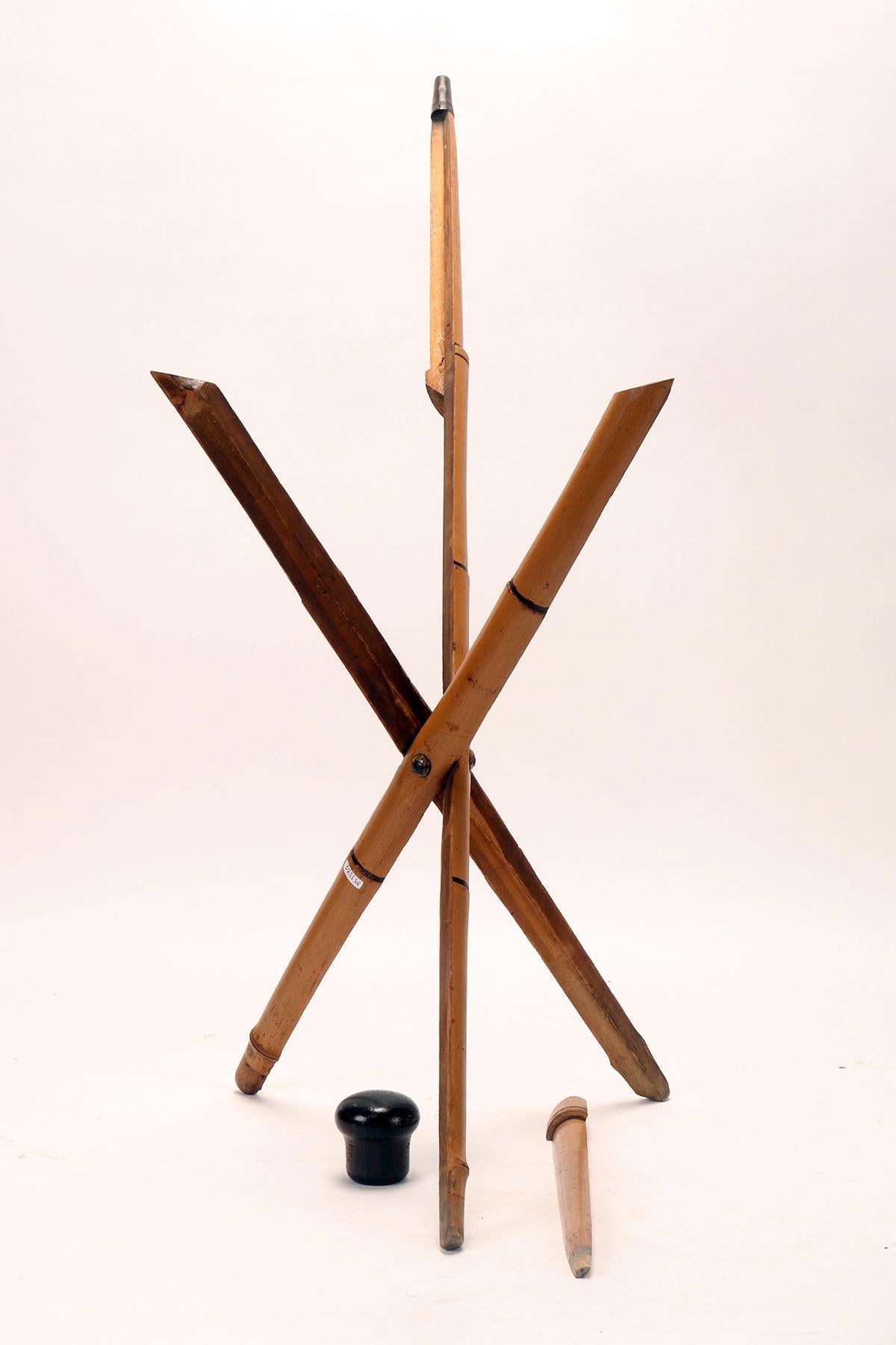 System walking stick, fisherman’s seat, France 1900. For Sale 1